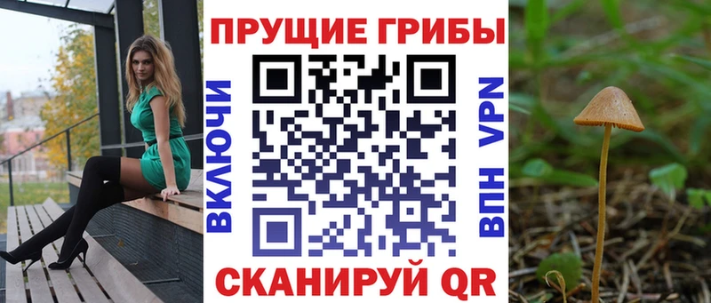 цена   Североуральск  Псилоцибиновые грибы Psilocybine cubensis 